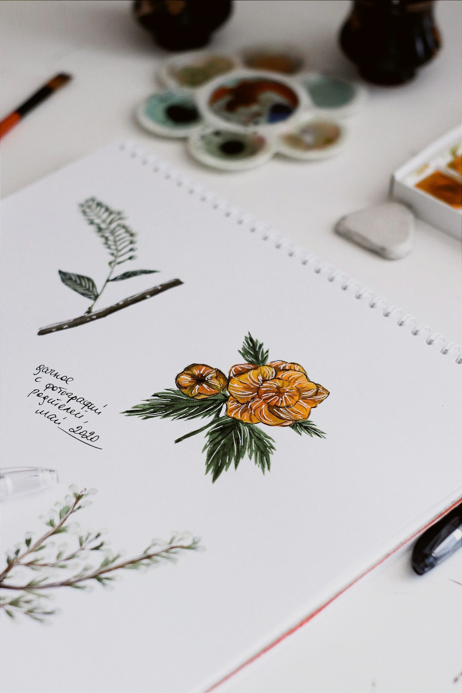 Top Features of WordPress for New Users